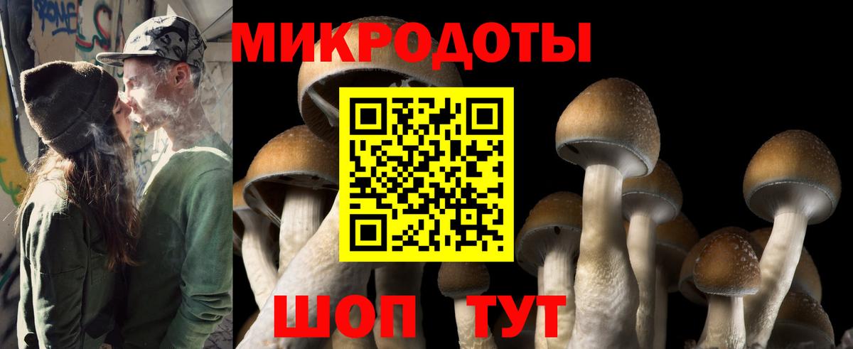 Галлюциногенные грибы GOLDEN TEACHER  Вход с VPN  Ижевск  Псилоцибиновые грибы ЛСД 