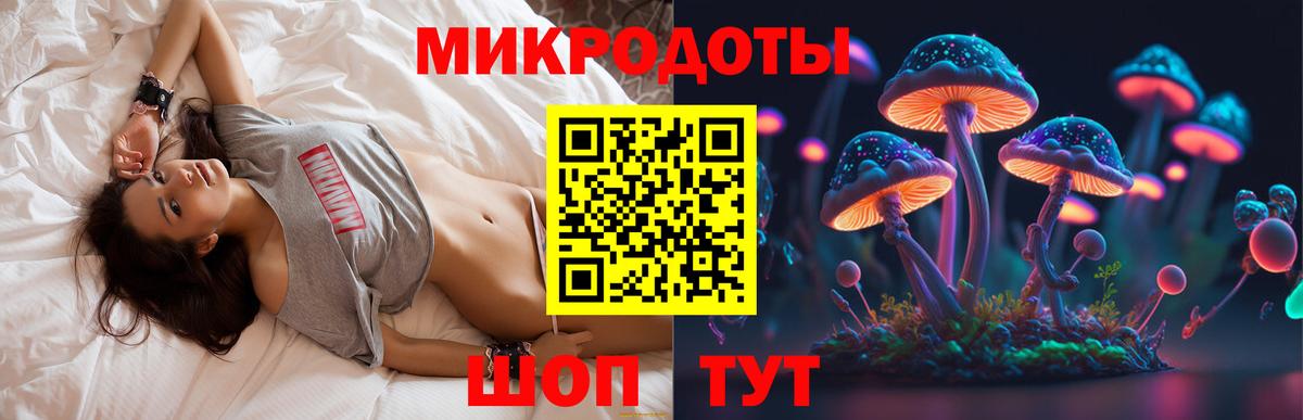 Псилоцибиновые грибы прущие грибы Ижевск